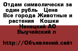 Отдам символически за один рубль › Цена ­ 1 - Все города Животные и растения » Кошки   . Ненецкий АО,Выучейский п.